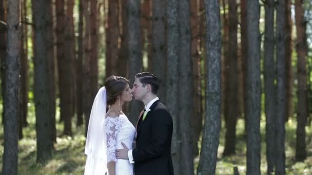 De bruid en bruidegom in een forest. — Stockvideo