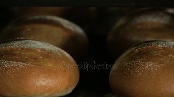 Brood in de oven bakkers — Stockvideo