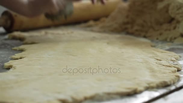 Een vrouw maakt gebruik van een cookie cutter te snijden circulaire vormen in deeg. — Stockvideo