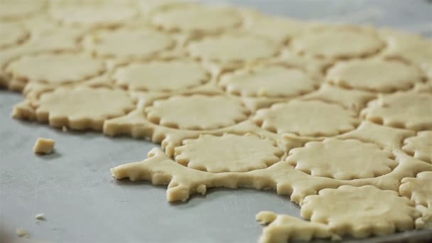 Shortbread biscuits confectionery — Stock Video
