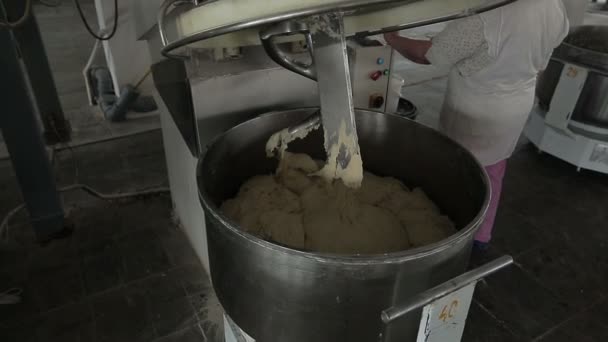 Máquina amassar a massa de farinha de pão planta de produção — Vídeo de Stock