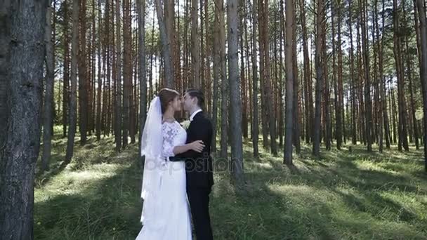 Прекрасная свадебная пара целуется в лесу . — стоковое видео