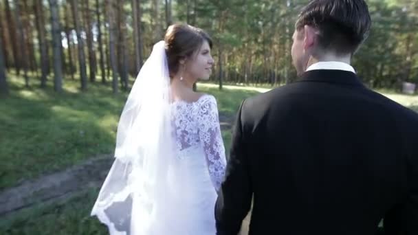 Mariée heureuse et marié marchant dans le parc le jour d'été — Video