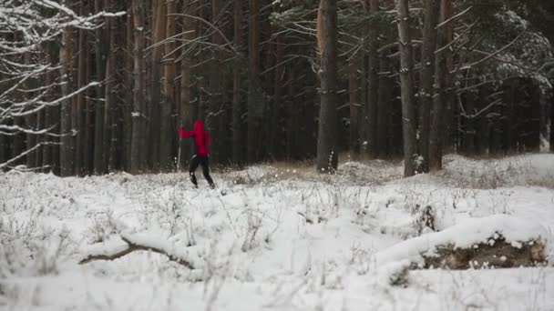 Человек в красной одежде катается на лыжах — стоковое видео