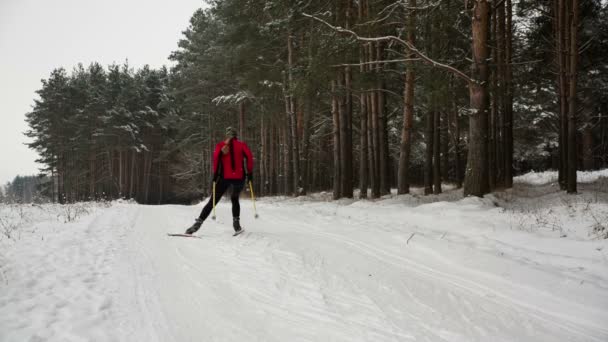 Девочка катается на лыжах одна в лесу — стоковое видео