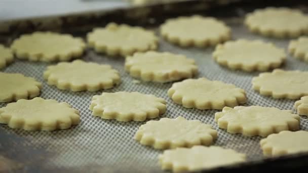 Shortbread auf dem Tablett — Stockvideo