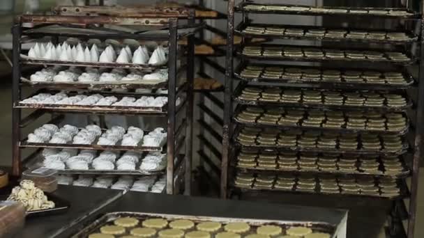 Galletas en la panadería — Vídeos de Stock