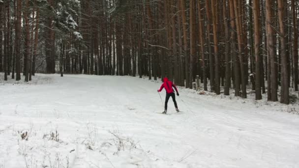 Людина катається на лижах у зимовому лісі — стокове відео