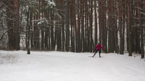 자연 속에서 혼자 여자 크로스 컨트리 스키. — 비디오