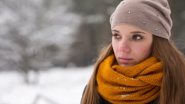 Close-up of beautiful girl in winter Park — Stock Video