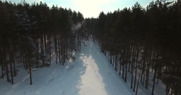 눈 덮인 숲 공중 쐈 어입니다. 4 k 촬영 — 비디오