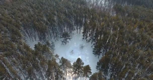 Paysage hivernal dans les montagnes. 4k aérien 
