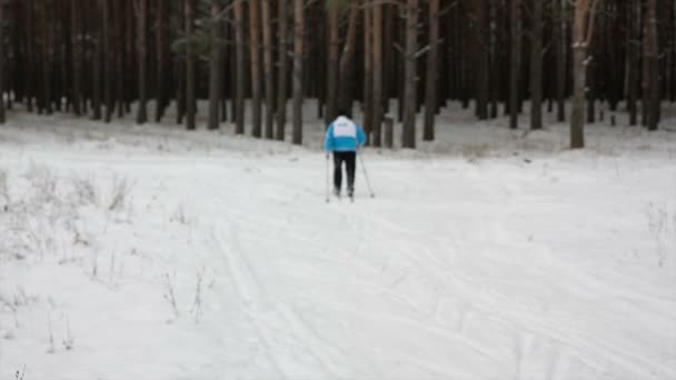 Mannen i blå kläder till längdskidåkning — Stockvideo