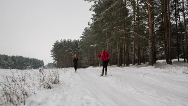 Menina e esquiadores na natureza — Vídeo de Stock