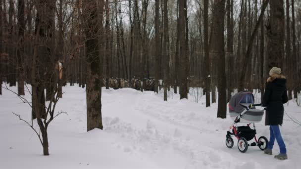 Mamma sta camminando con un passeggino in inverno — Video Stock