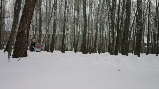 Mamma går med en barnvagn i den snöiga skogen — Stockvideo