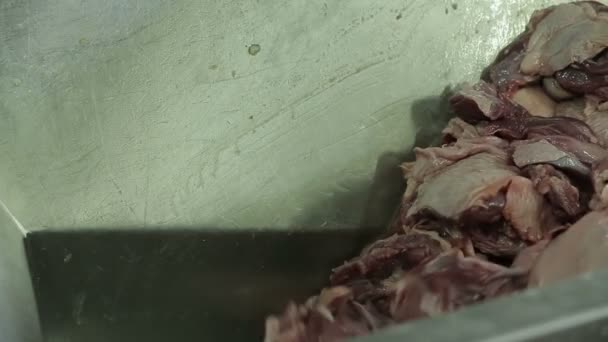 Mechanische Verarbeitung von Fleisch. — Stockvideo