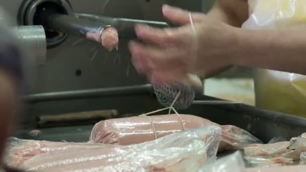 Завод по производству колбас — стоковое видео