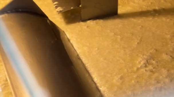 Snijden van de wrongel kaas close-up — Stockvideo