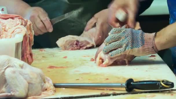 Industria alimentare, carne di pollo — Video Stock