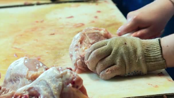 Broiler chicken cutting on factory — Stock Video