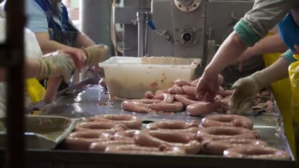 Bouchers faisant des saucisses — Video