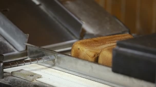 Machine voor het snijden van brood van dichtbij — Stockvideo