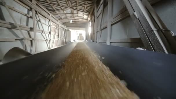 Предприятие фрезерной промышленности. Зерновой лифт . — стоковое видео