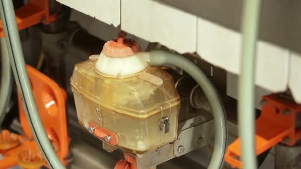 Orange Melkmaschine für Kühe aus nächster Nähe — Stockvideo