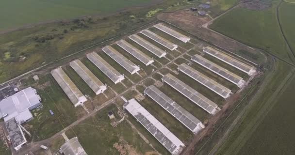 Letecký pohled na drůbeží farmu v terénu — Stock video