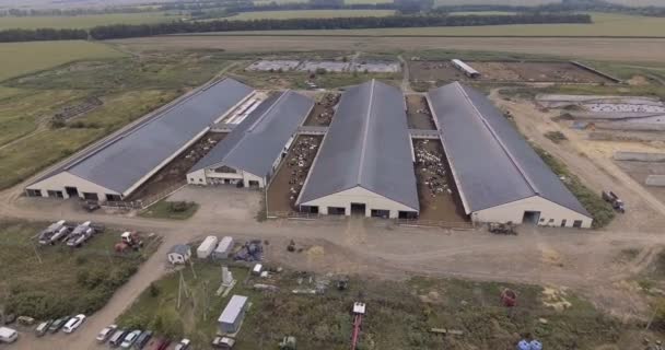 Letecký pohled na mléčnou farmu — Stock video