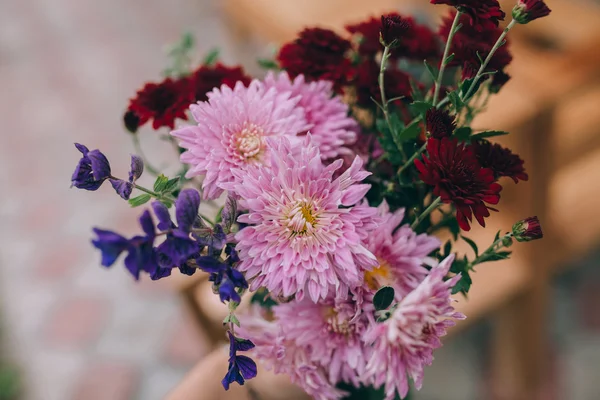 Flores vermelhas de crisântemos — Fotografia de Stock