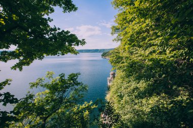 yeşil ağaçlar ve göl