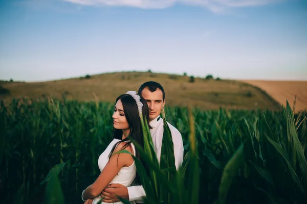 Casal abraçando uns aos outros — Fotografia de Stock