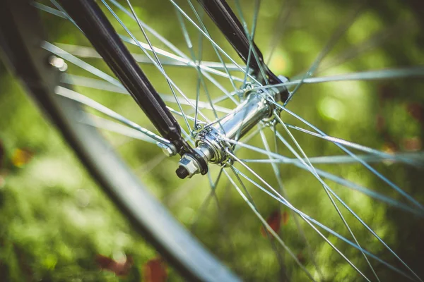 Roda de bicicleta na natureza — Fotografia de Stock