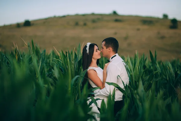 Pareja abrazándose unos a otros — Foto de Stock