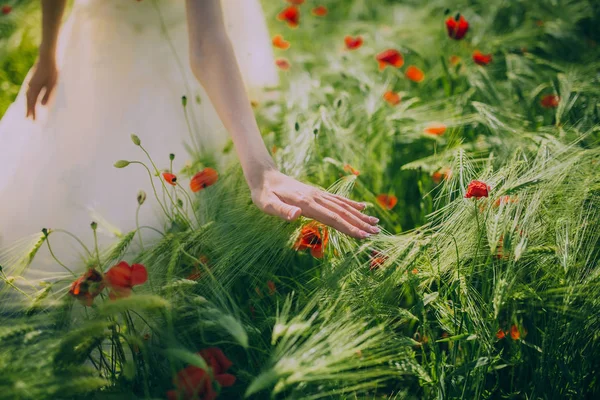 Noiva em branco no campo de flores — Fotografia de Stock
