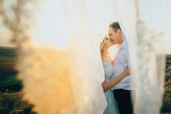 結婚式のカップルのキス — ストック写真