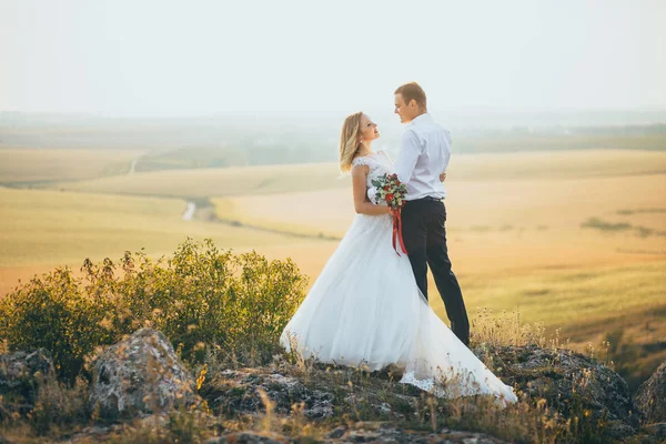 Όμορφος groom εκμετάλλευση νύφη — Φωτογραφία Αρχείου