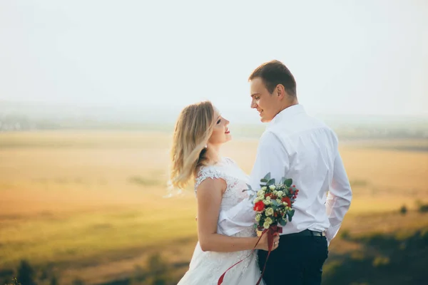 Bello sposo tenuta sposa — Foto Stock