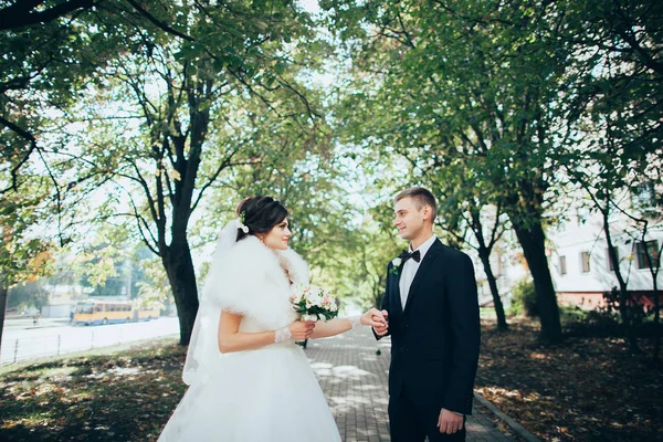 Recém-casados caminhando no parque — Fotografia de Stock