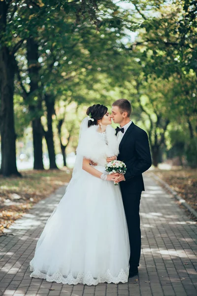 Nygifta promenader i parken — Stockfoto