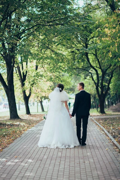공원에서 산책 하는 신혼 부부 — 스톡 사진