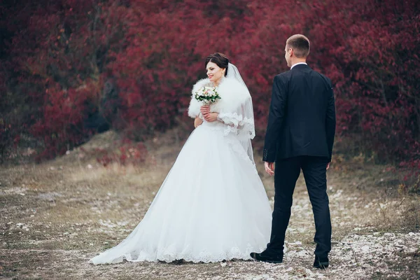 Jonggehuwden op een bruiloft-wandeling — Stockfoto