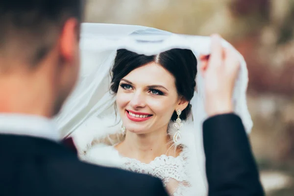 Frischvermählte auf Hochzeitsspaziergang — Stockfoto
