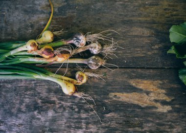 Soğan ve sarımsak ile taze yeşil mangold