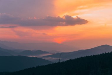 gün batımında tepelerde yoğun orman