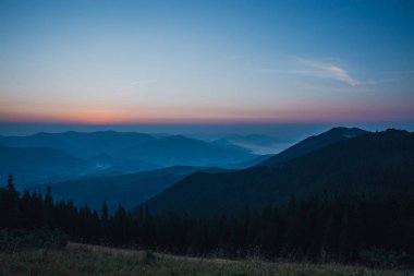 tepelerde yoğun orman 