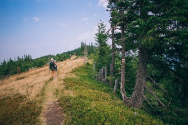 Dağlarda yürüyüş yapan insanlar