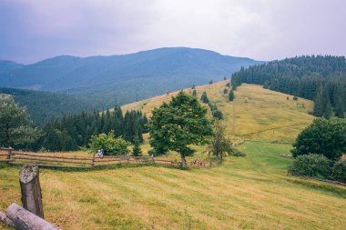 Turist alan yürüyüş